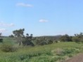 /album/flinders-ranges/a05-back-in-green-jpg/
